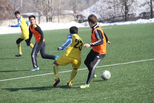 photo_11