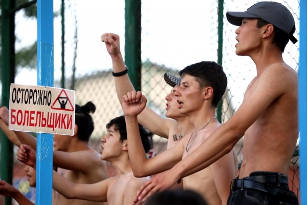 photo_8