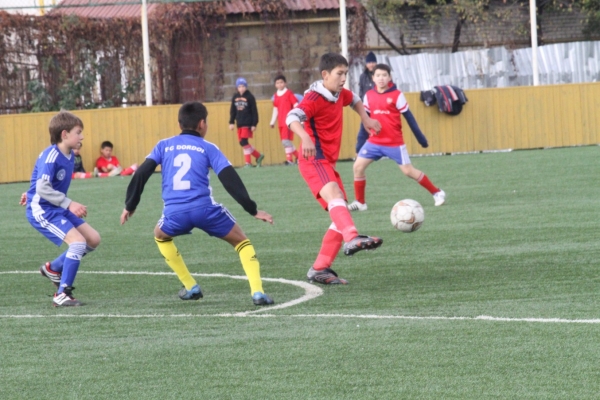 photo_12