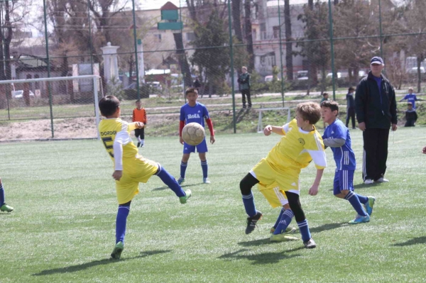 photo_6