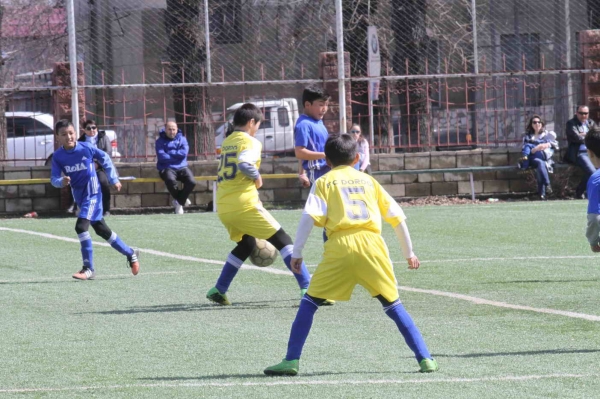 photo_8