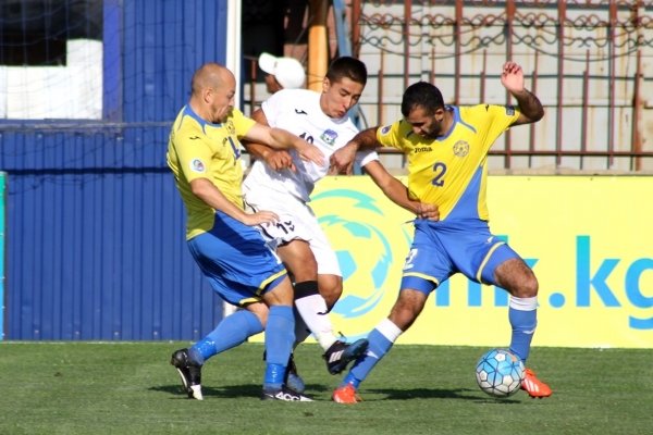 photo_8