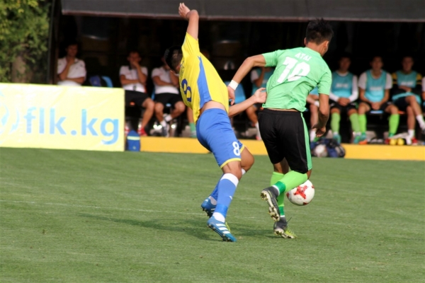 photo_29
