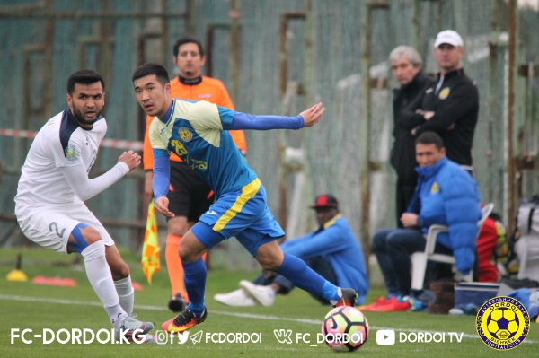 photo_11