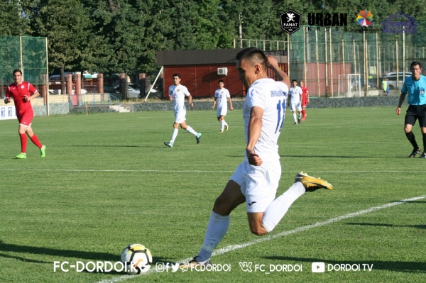 photo_11