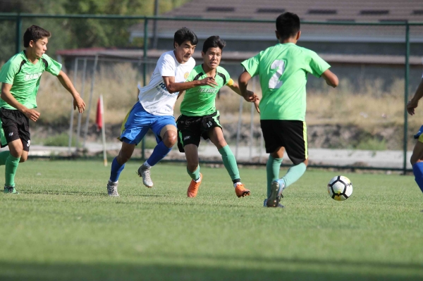 photo_7