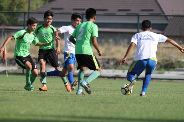 photo_8